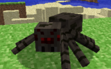 Spider2