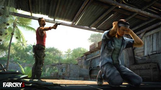 Far Cry 3 - Релиз Far Cry 3 задержат на несколько месяцев