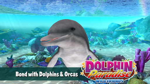 Dolphin Paradise: Wild Friends - Рецензия Dolphin Paradise: Wild Friends